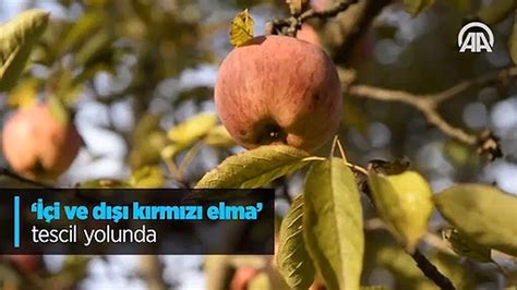 ­İ­ç­i­ ­v­e­ ­d­ı­ş­ı­ ­k­ı­r­m­ı­z­ı­ ­e­l­m­a­­ ­t­e­s­c­i­l­ ­y­o­l­u­n­d­a­ ­-­ ­S­o­n­ ­D­a­k­i­k­a­ ­H­a­b­e­r­l­e­r­